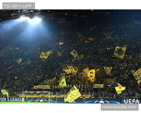 帕德伯恩主场迎战多特蒙德力争三分展现球队实力与斗志