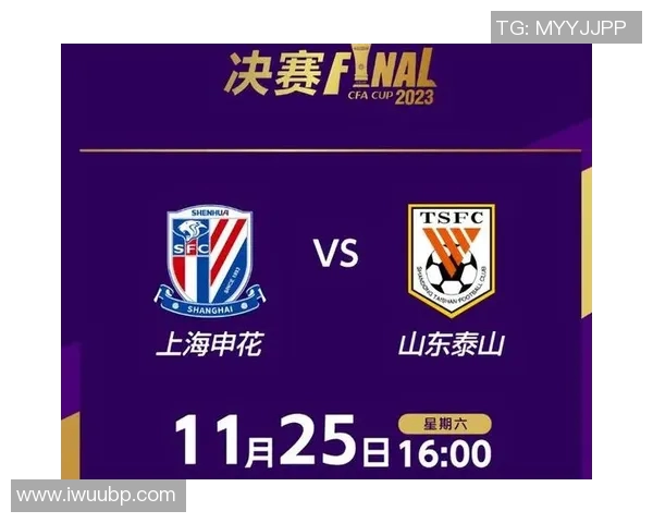 山东鲁能与上海申花2017年对决回顾及精彩瞬间分析